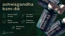 Ashwagandha.jpg