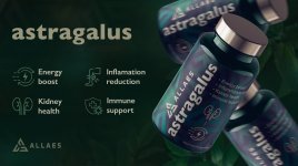 Astragalus.jpg Astragalus.jpg