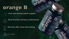 orange b.jpg orange b.jpg
