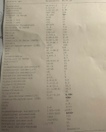 Bloodwork1.png