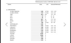 IMG_2040.jpeg