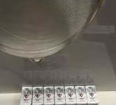 IMG_4956.jpeg