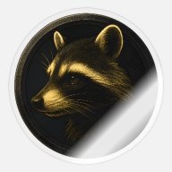 Raccoon