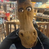 Haferhure