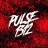 Pulse1312